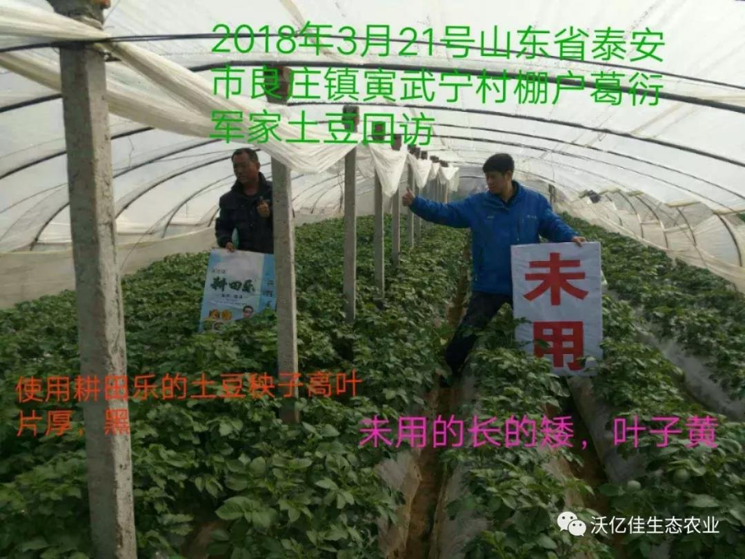 能让农民真正受益的产品才是好产品—beplay体育官网乐 能让农民真正受益的产品才是好产品—beplay体育官网乐