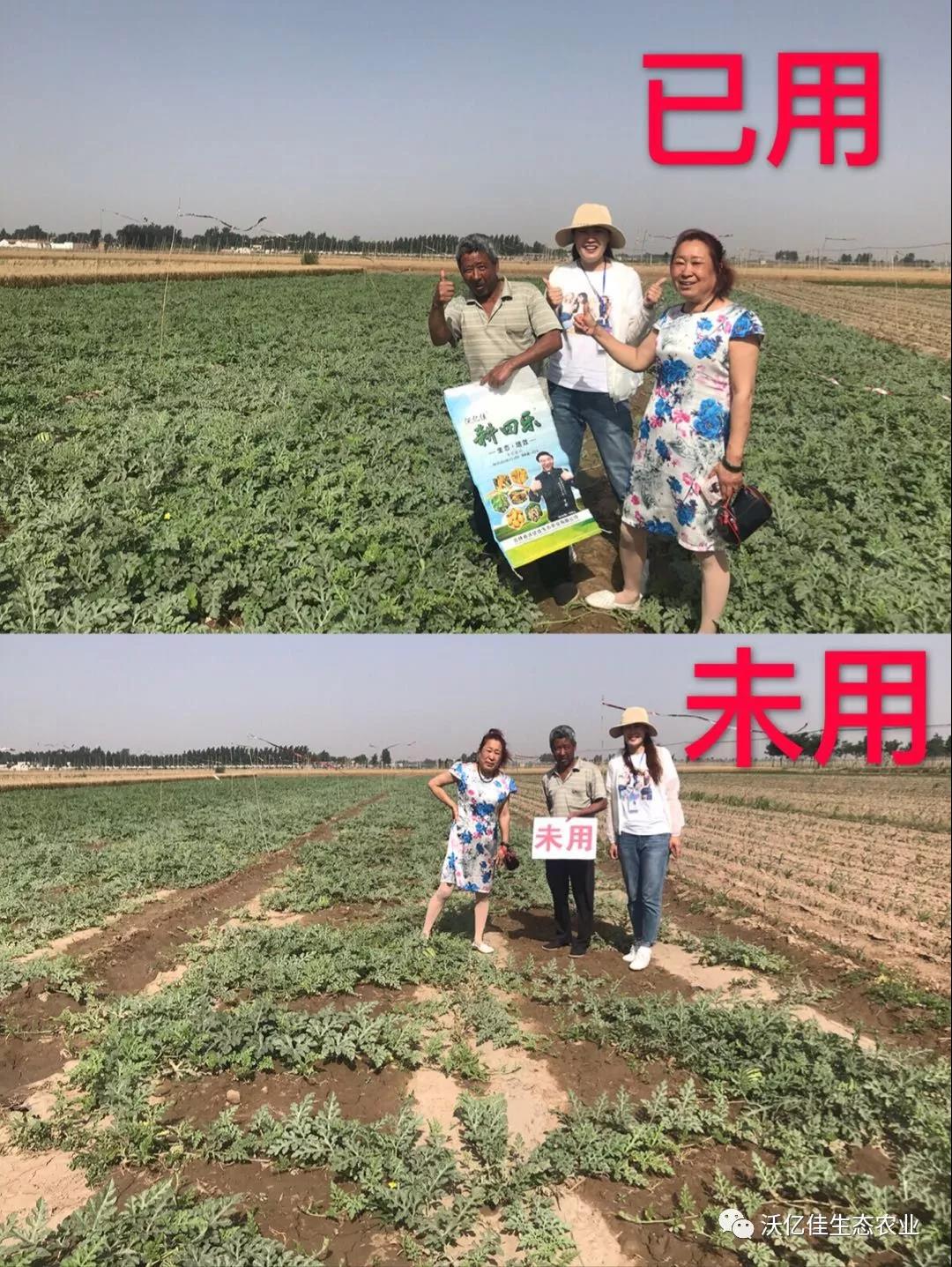 能让农民真正受益的产品才是好产品—beplay体育官网乐 能让农民真正受益的产品才是好产品—beplay体育官网乐