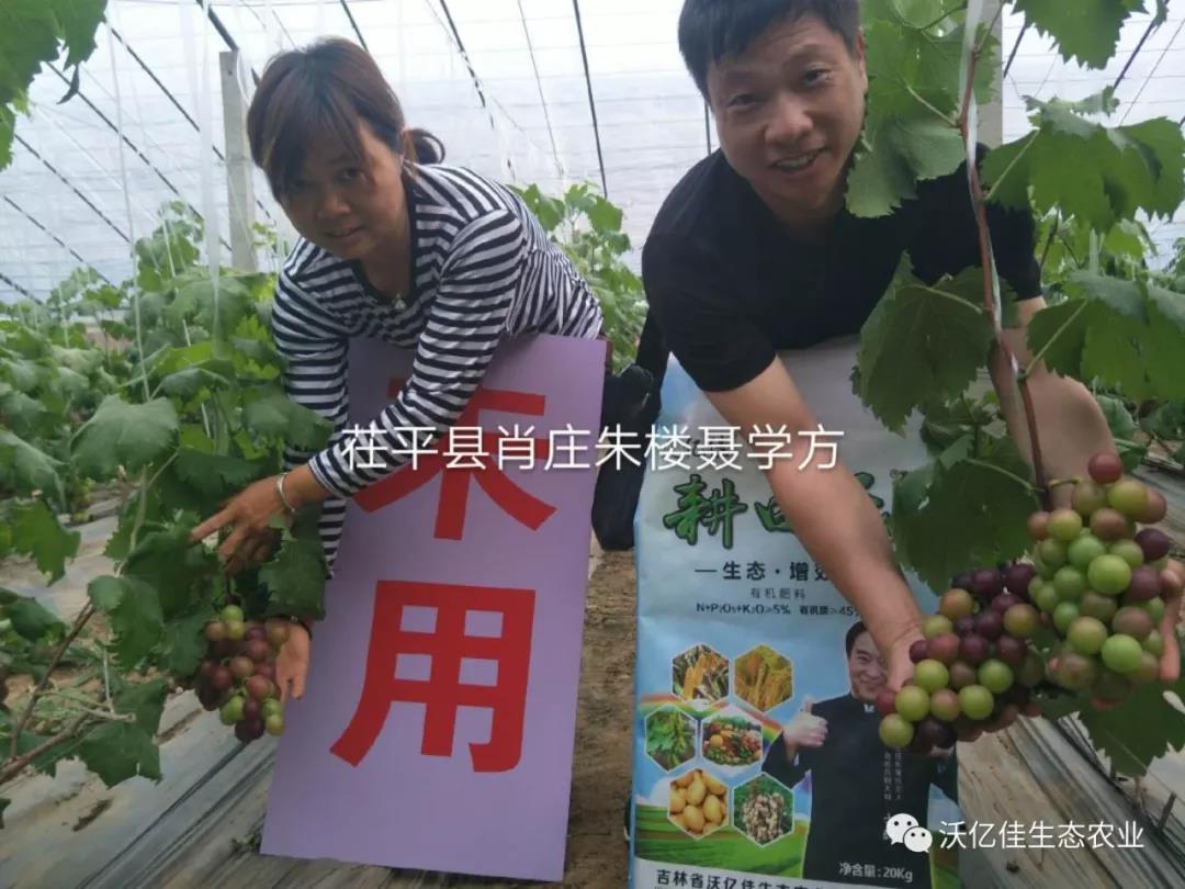 能让农民真正受益的产品才是好产品—beplay体育官网乐 能让农民真正受益的产品才是好产品—beplay体育官网乐