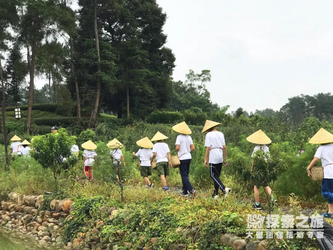 夏令營回顧 | “瘋狂原始人”夏令營，兩期圓滿結束！