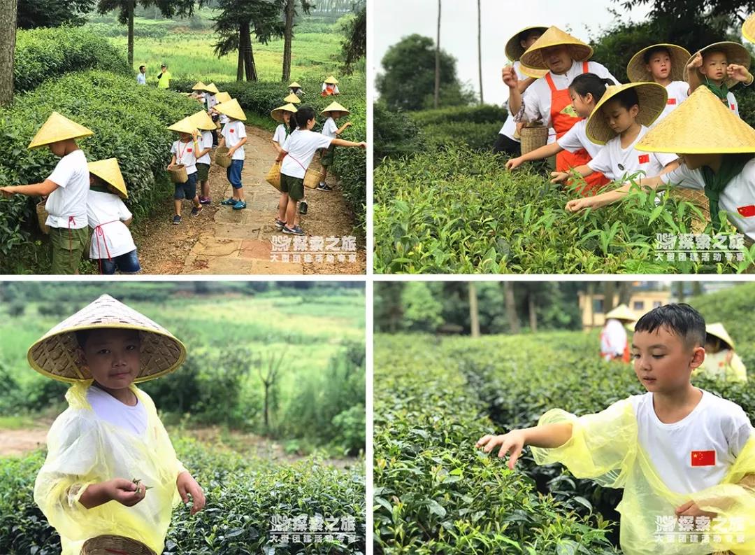 夏令營回顧 | “瘋狂原始人”夏令營，兩期圓滿結束！