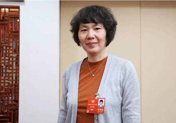 全国政协委员、中科院微电子所副所长周玉梅:建议大基金对芯片设计业重点倾斜 全国政协委员、中科院微电子所副所长周玉梅:建议大基金对芯片设计业重点倾斜