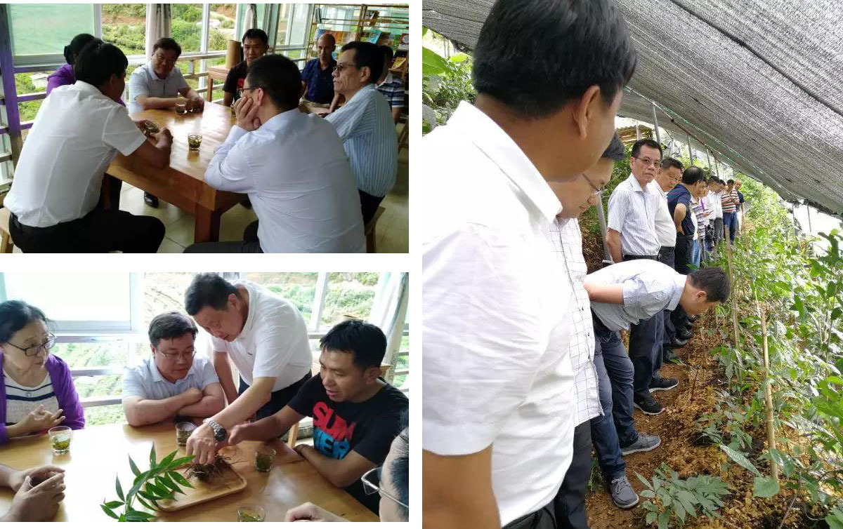 悠悠公益心,漫漫扶贫路 虹桥街道远赴绿春 为边疆人民千里送亲情 悠悠公益心,漫漫扶贫路 虹桥街道远赴绿春 为边疆人民千里送亲情