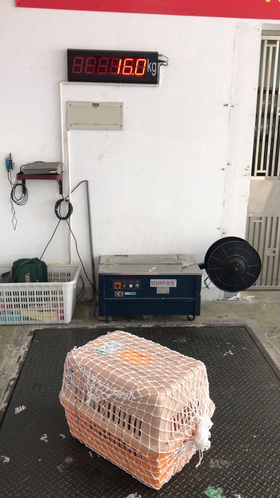 深圳市潤航物流有限公司是一家專門做寵物航空托運(yùn)的公司