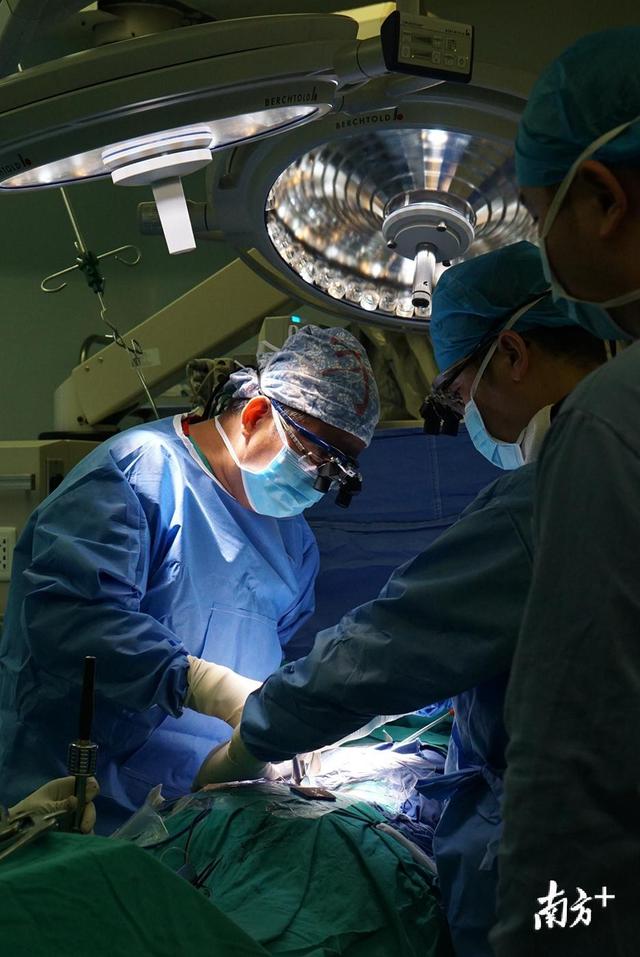 广东首例!3D打印“仿生脊椎”植入男子体内,成功取代患病脊椎 广东首例!3D打印“仿生脊椎”植入男子体内,成功取代患病脊椎
