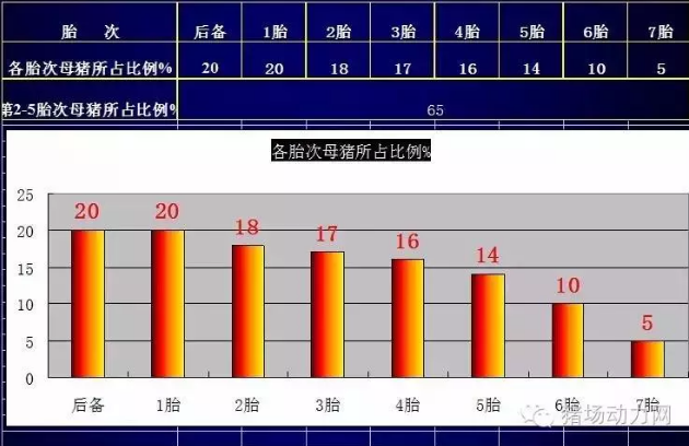 温氏内部母猪饲养方案曝光（内含25个要点，超级实用）