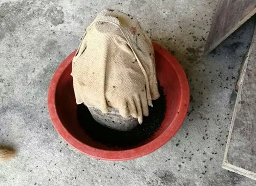 网床养鸭户苍蝇控制的经验分享