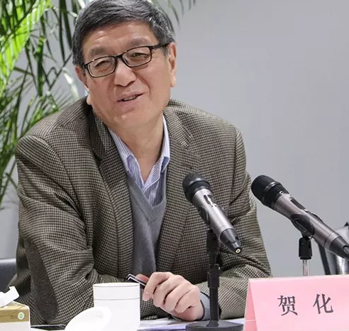 贺化:中国知识产权保护的成就有目共睹 贺化:中国知识产权保护的成就有目共睹