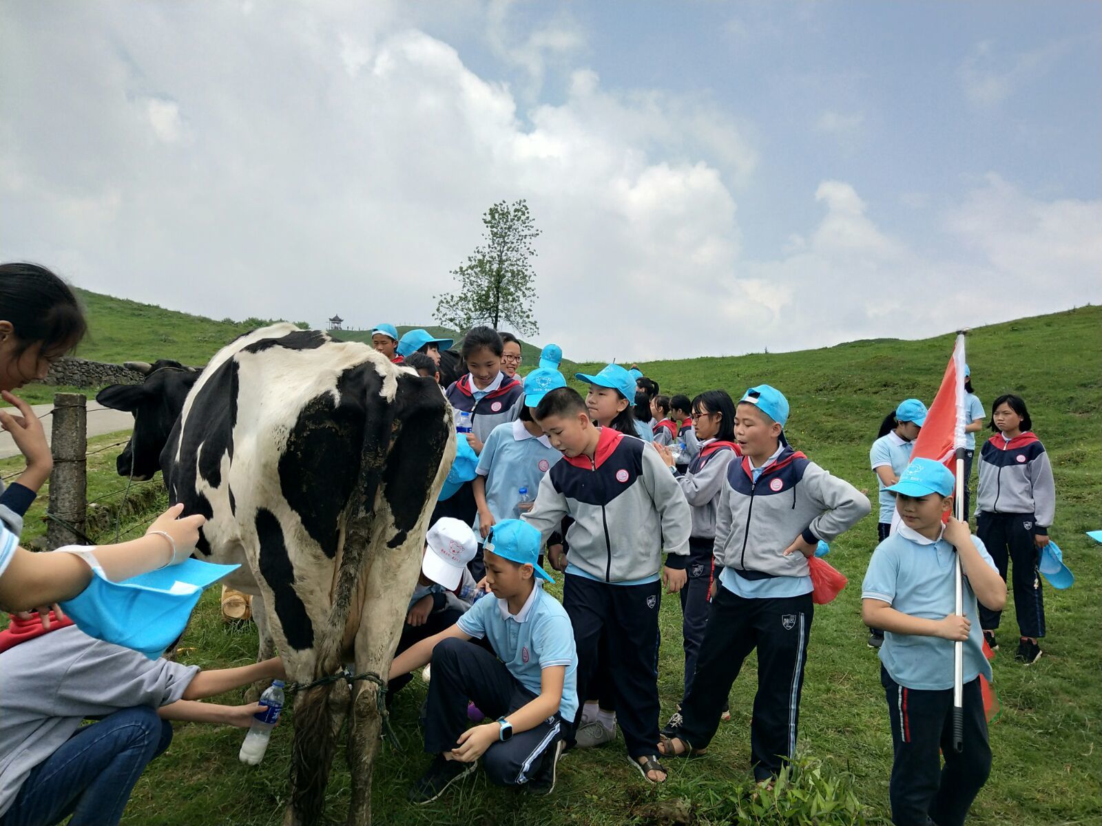 爱席文化·武冈展辉学校南山生态体验研学之旅完美收官