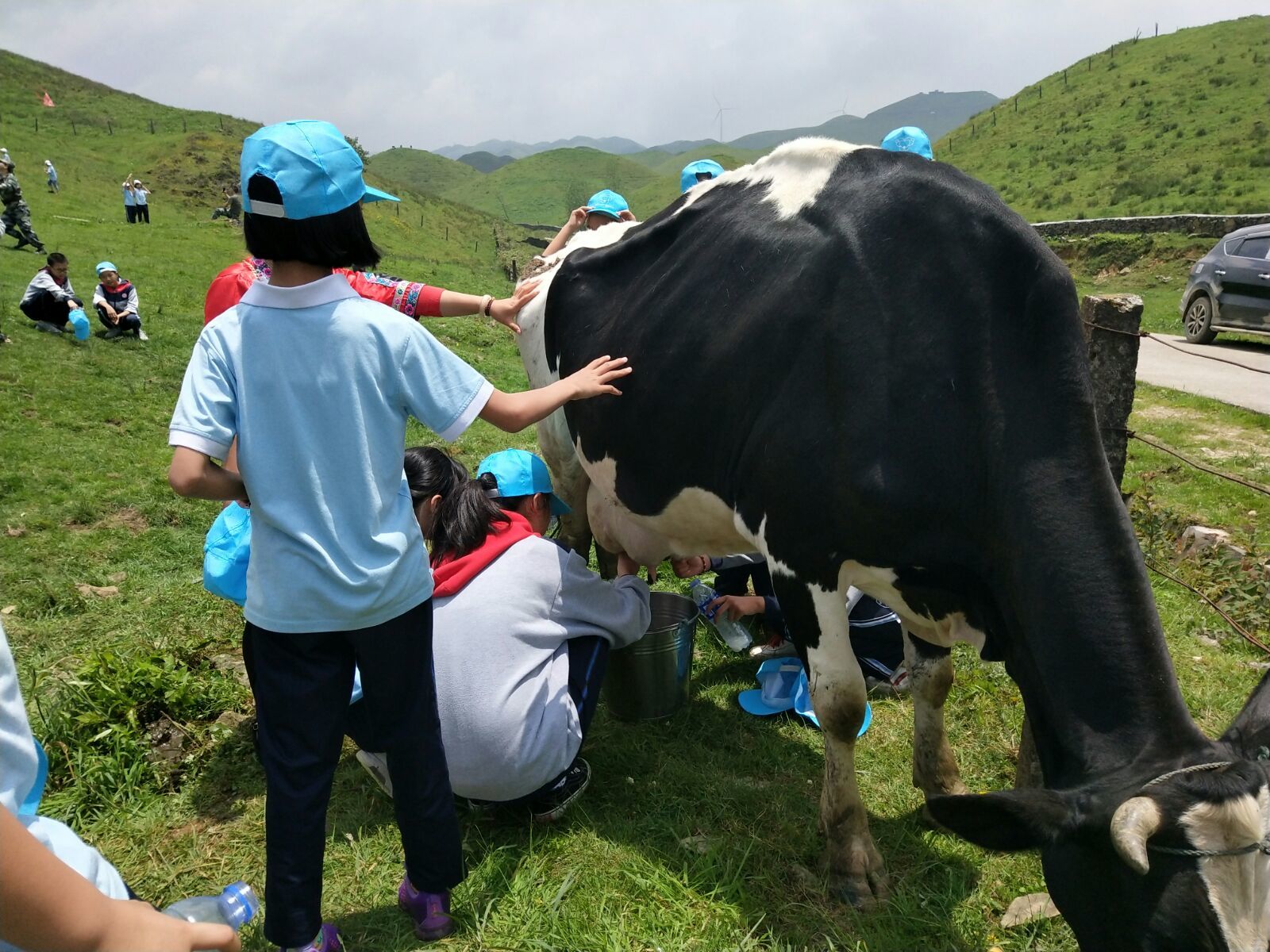 爱席文化·武冈展辉学校南山生态体验研学之旅完美收官