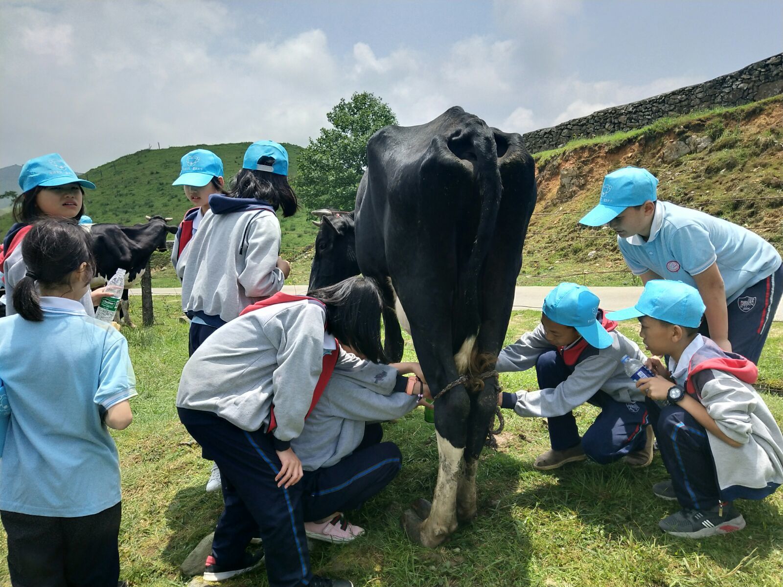 爱席文化·武冈展辉学校南山生态体验研学之旅完美收官