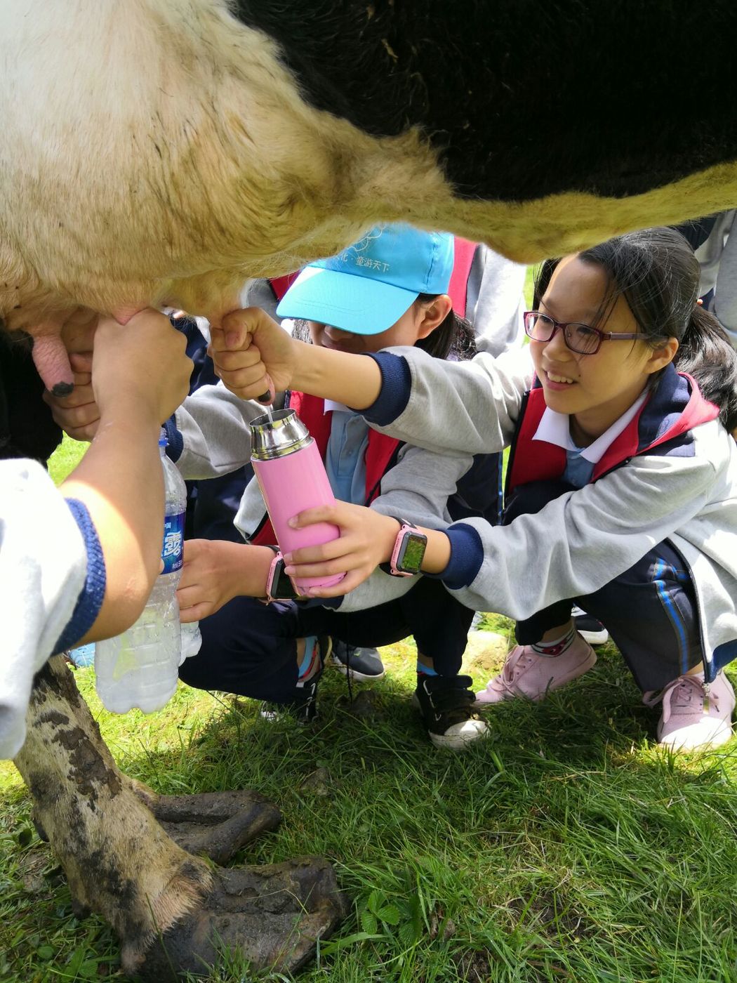 爱席文化·武冈展辉学校南山生态体验研学之旅完美收官