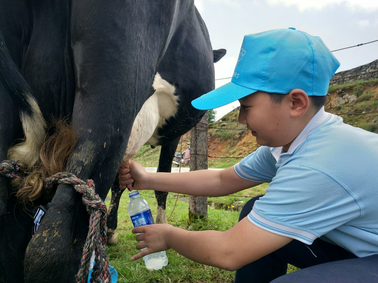 爱席文化·武冈展辉学校南山生态体验研学之旅完美收官