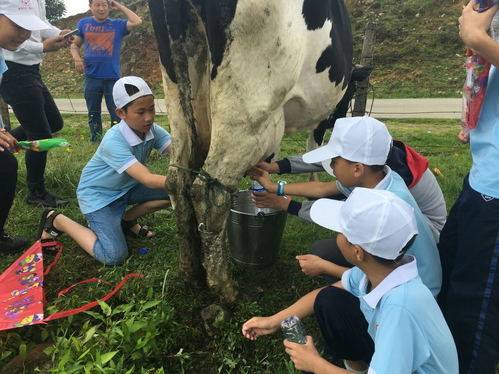 爱席文化·武冈展辉学校南山生态体验研学之旅完美收官