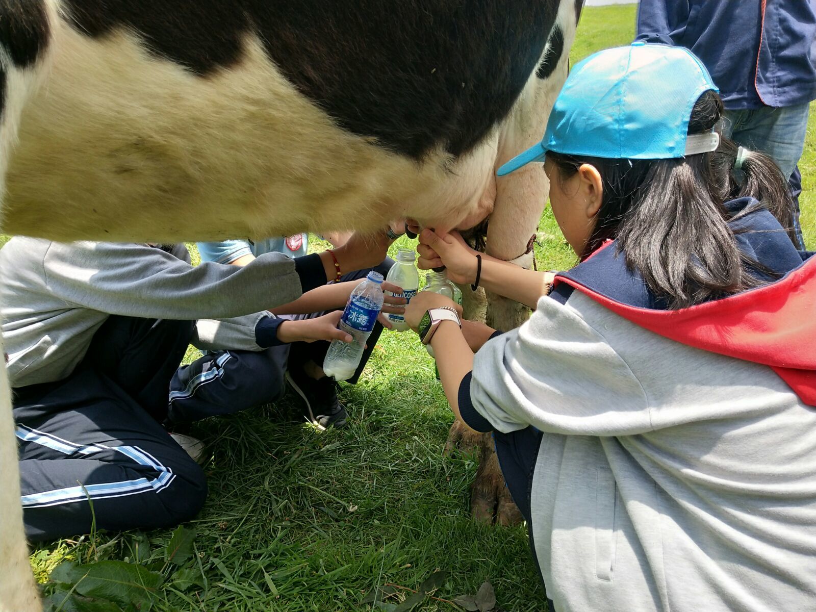 爱席文化·武冈展辉学校南山生态体验研学之旅完美收官