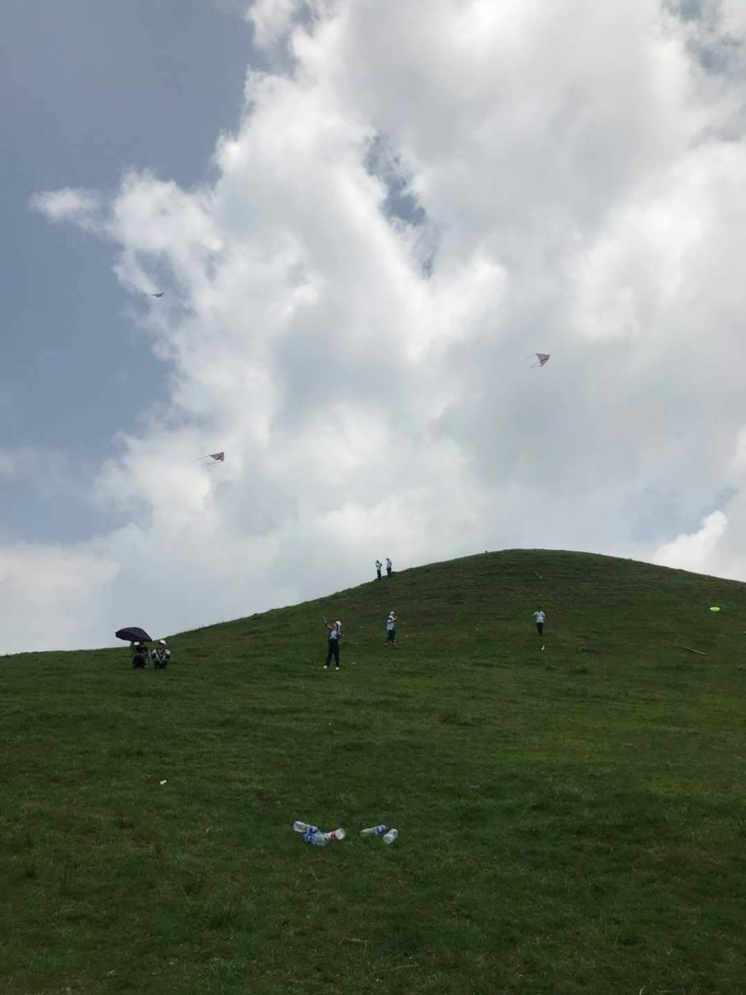 爱席文化·武冈展辉学校南山生态体验研学之旅完美收官