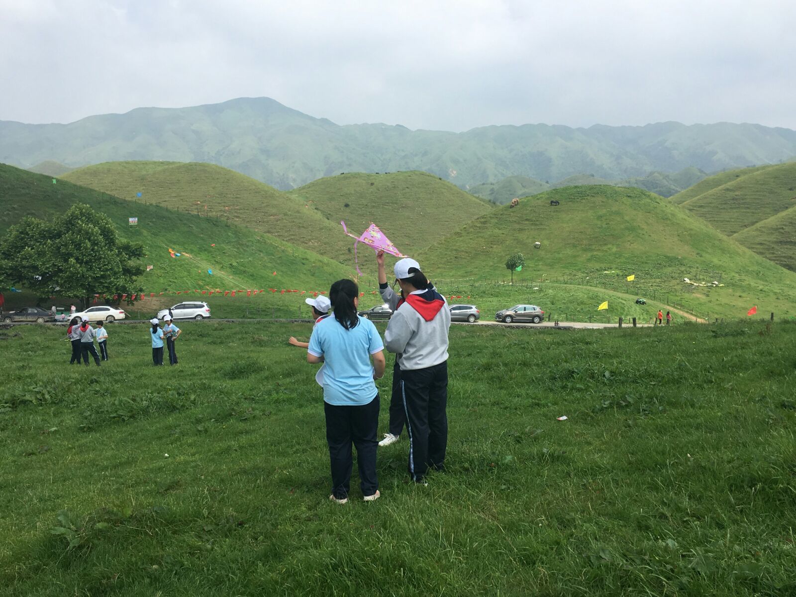 爱席文化·武冈展辉学校南山生态体验研学之旅完美收官