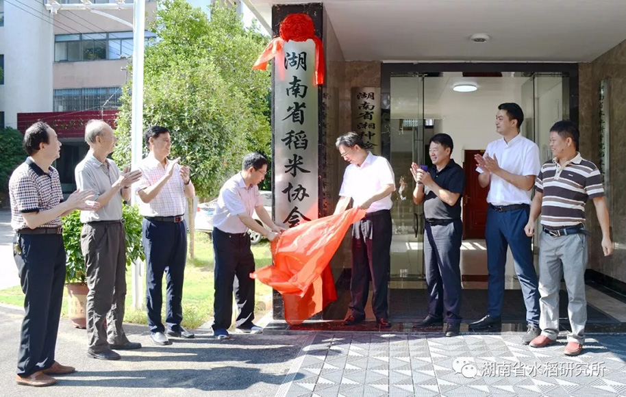 湖南省稻米协会揭牌仪式暨湘米品牌打造方案讨论会在湖南省水稻研究所举行