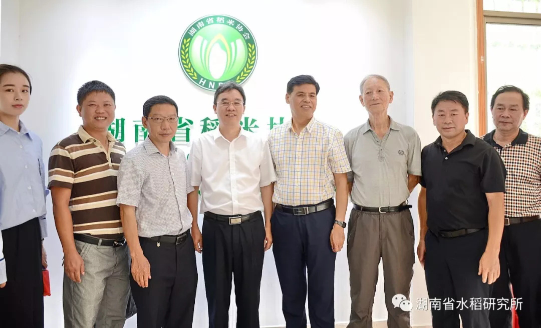 湖南省稻米协会揭牌仪式暨湘米品牌打造方案讨论会在湖南省水稻研究所举行 湖南省稻米协会揭牌仪式暨湘米品牌打造方案讨论会在湖南省水稻研究所举行