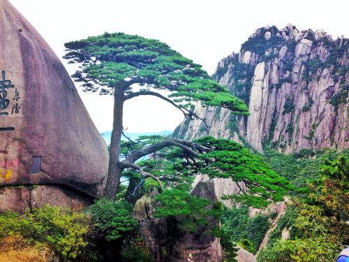 登黃山，天下無山