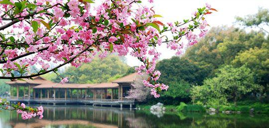 杭州西子湖畔十景