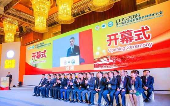 2018年长沙第十届全国疝和腹壁外科学术大会纪要(上) 2018年长沙第十届全国疝和腹壁外科学术大会纪要(上)