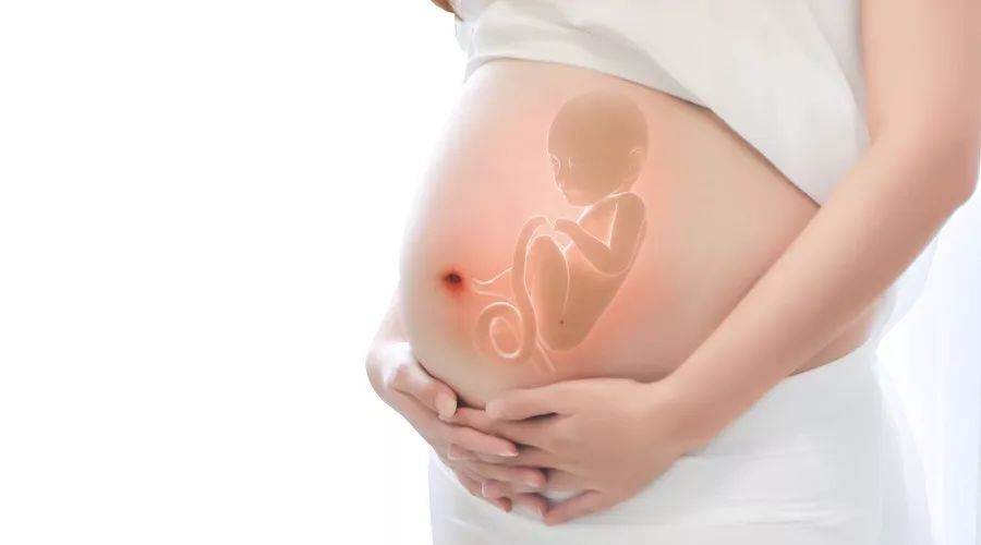 同性生子不是梦——美国试管婴儿完美助力【gay专版】 同性生子不是梦——美国试管婴儿完美助力【gay专版】