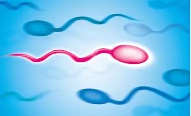 麦沃IVF:精液异常是否影响美国试管婴儿成功率? 麦沃IVF:精液异常是否影响美国试管婴儿成功率?