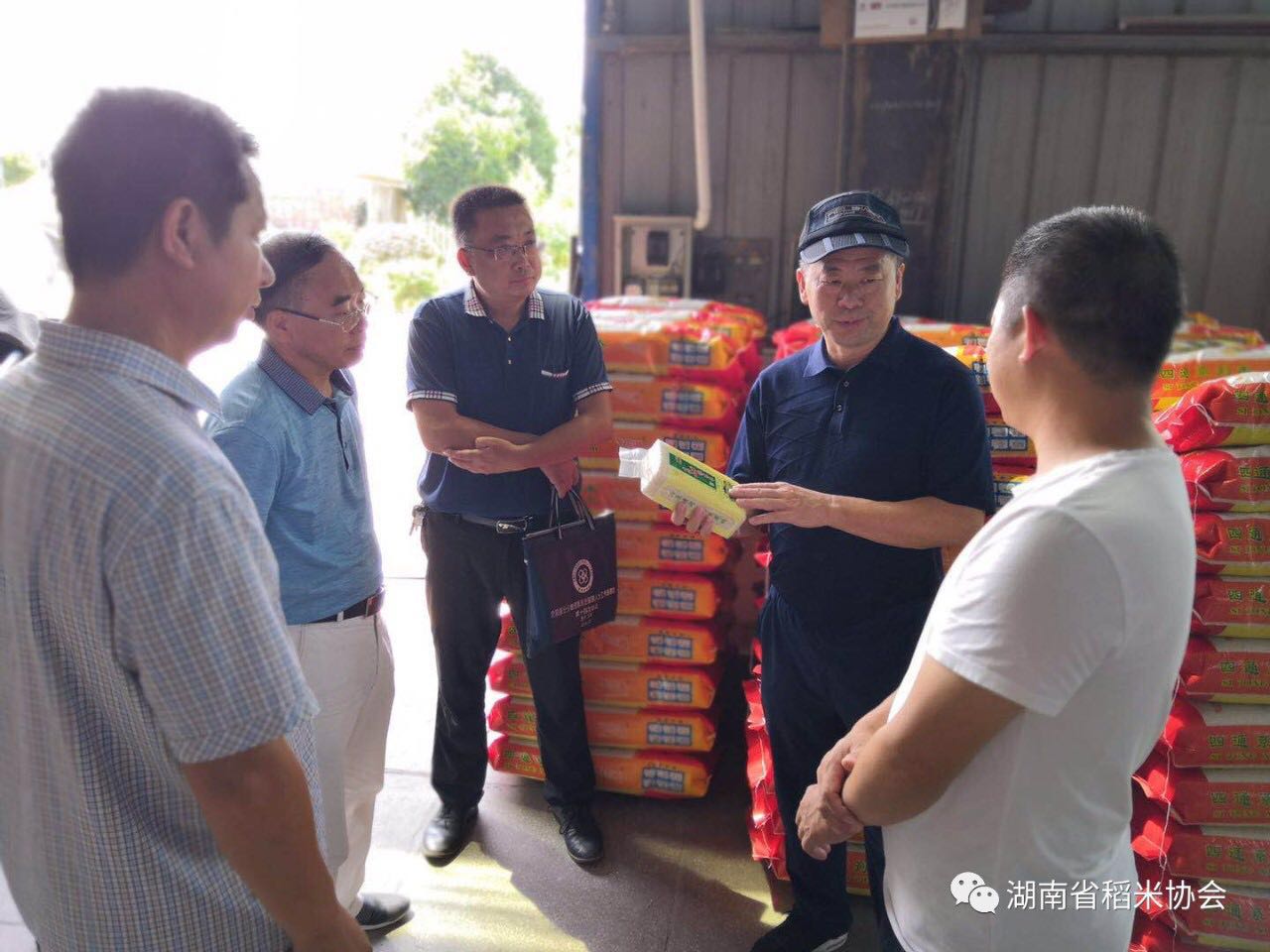湖南省稻米协会到怀化市调研优质湘米品牌建设工作