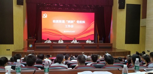 桂溪街道召开2018年“两新”党组织工作会