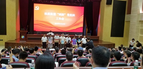 桂溪街道召开2018年“两新”党组织工作会