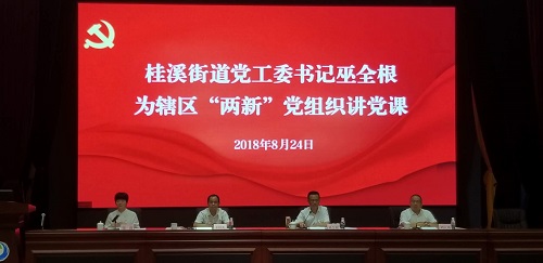 桂溪街道召开2018年“两新”党组织工作会