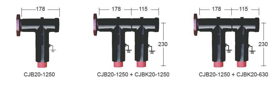 CJBK20-1250