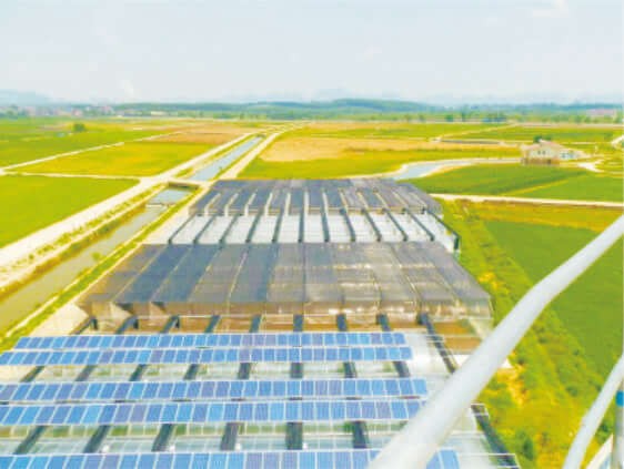 Solar photovoltaic pump controller