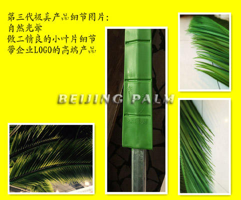 We develop a new kind of artificial washingtonia palm and date palm in 2018