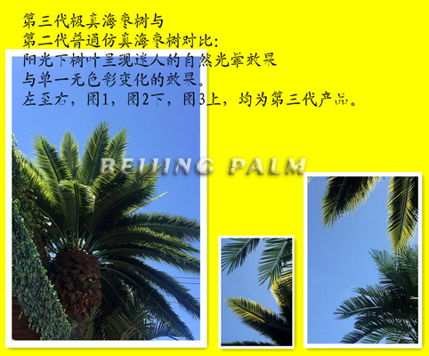 We develop a new kind of artificial washingtonia palm and date palm in 2018
