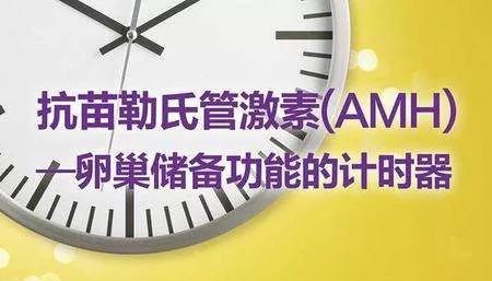 关于抗苗勒氏管激素(AMH)的小常识 关于抗苗勒氏管激素(AMH)的小常识