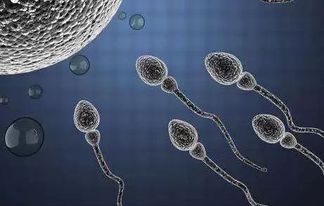 美国试管婴儿:试管婴儿的英文名test-tube baby 美国试管婴儿:试管婴儿的英文名test-tube baby