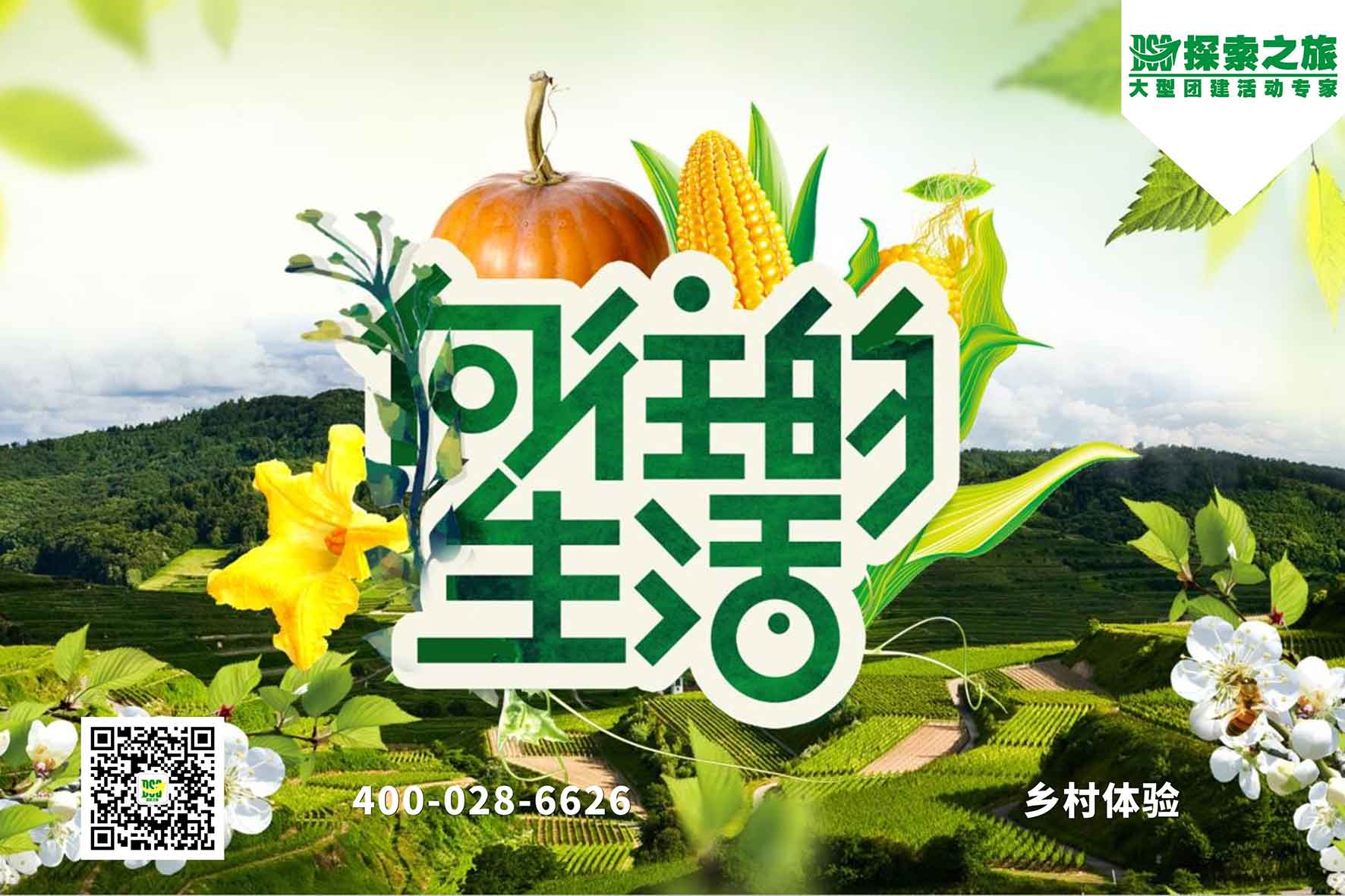 【体验式团建】向往的生活