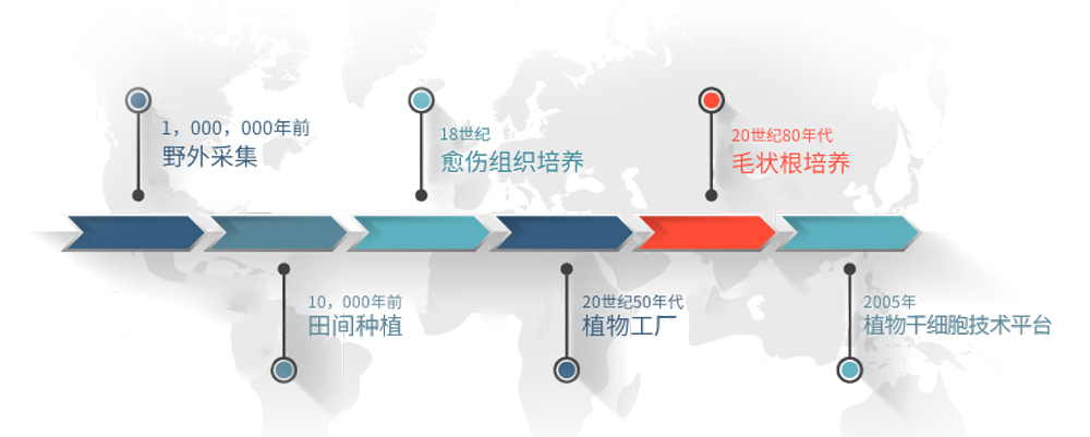 全新天然植化素生产系统