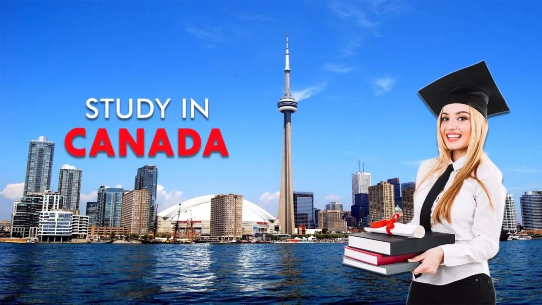 加拿大学习许可常见问题全面解析