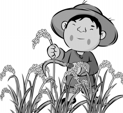 农民日报| 湖南:扩种再生稻信心从哪来-媒体聚焦