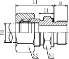 公制外螺纹24°锥/英管螺纹胶垫密封 1CB-WD·1CB-WDRNW·1DB-WD·1DB-WDRNW