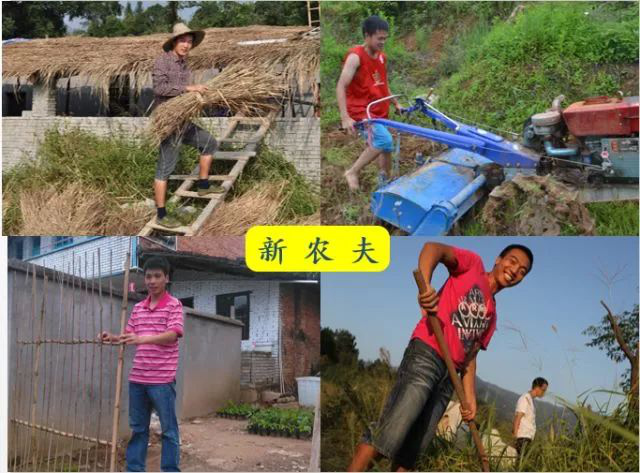 【乡村振兴】温铁军：乡村振兴的现实意义 乡村建设研究
