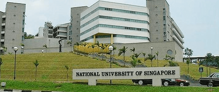 新加坡國立大學（National University of Singapore）