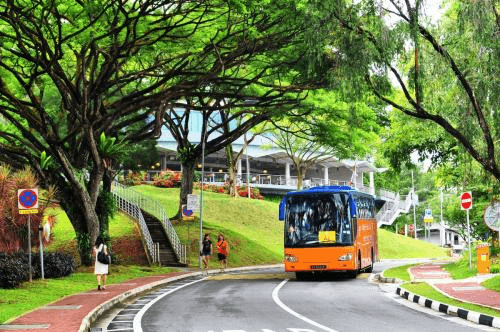 新加坡國(guó)立大學(xué)（National University of Singapore）