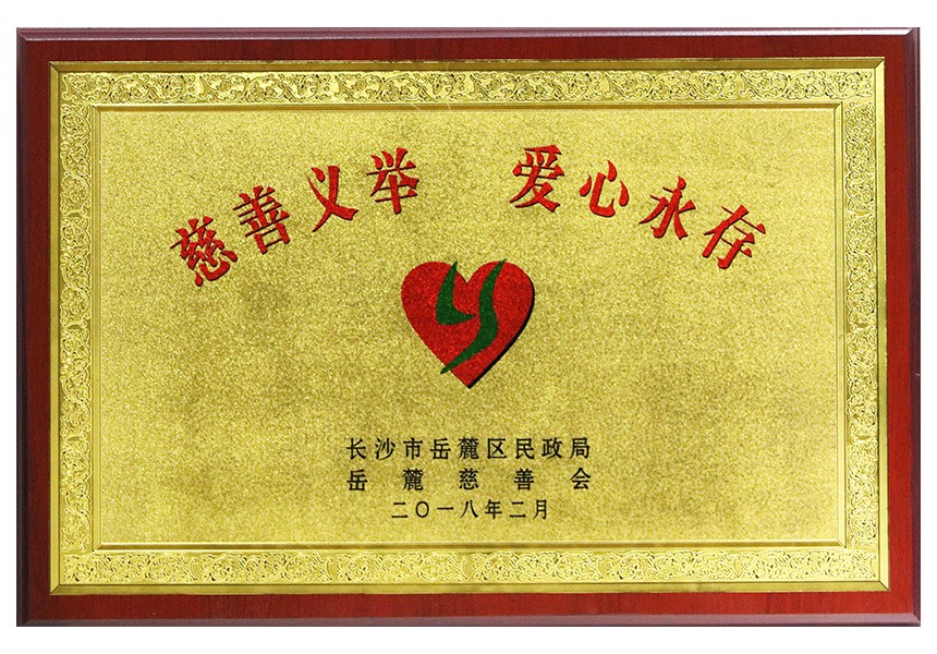 岳麓慈善会