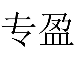 专盈