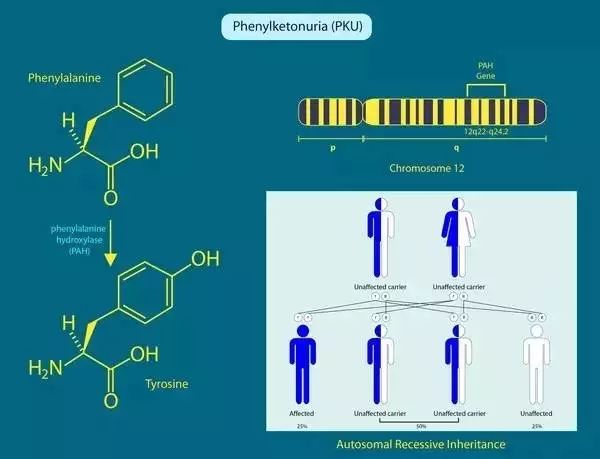 《Nature》子刊发布CRISPR基因编辑重大成果：产前基因编辑