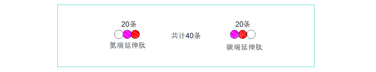 肽类药物筛选 肽类药物筛选